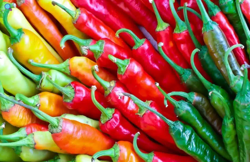 Mix of fresh cayenne pepper